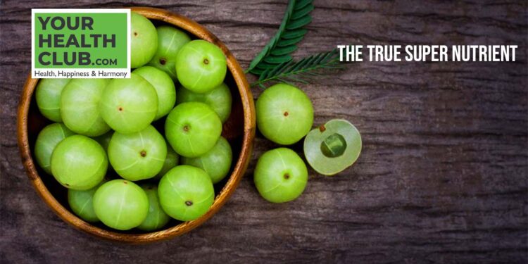 The True Super Nutrient