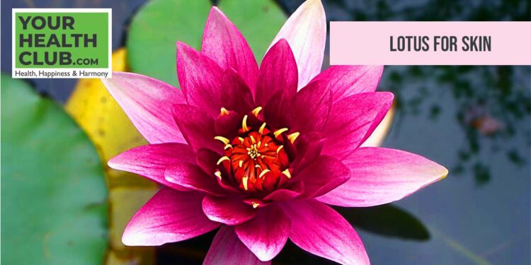 Lotus For Skin
