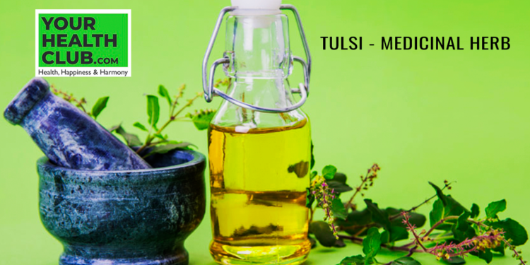 Why having a Tulsi plant at home is beneficial