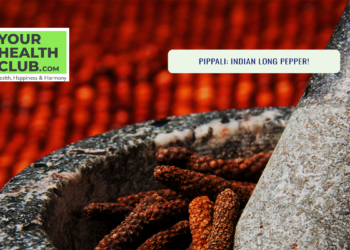 Pippali: Indian Long Pepper!