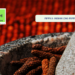Pippali: Indian Long Pepper!