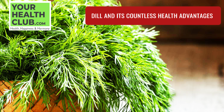 Dill and Its Countless Health Advantages