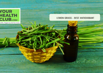 Lemon Grass