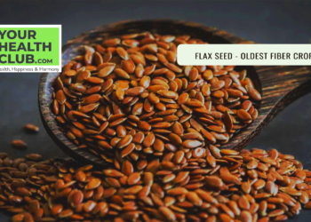 Flax Seed – Nutritious