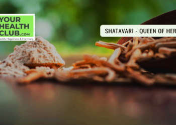 Shatavari – Queen of Herbs