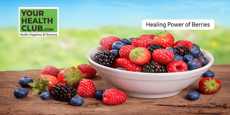 The Healing Power of Berries: A Nutrient-Rich Boost for Optimal Health