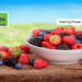 The Healing Power of Berries: A Nutrient-Rich Boost for Optimal Health