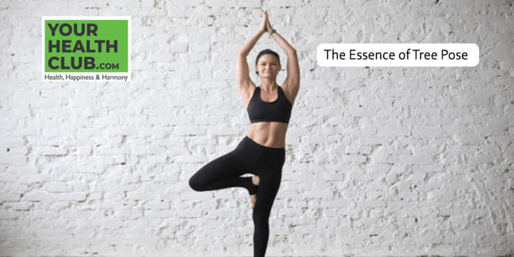 Finding Balance: The Transformative Power of Tree Pose