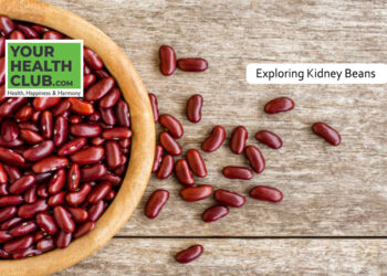 Unlocking the Nutritional Power of Kidney Beans