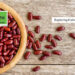 Unlocking the Nutritional Power of Kidney Beans