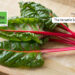 The Versatile Superfood: Unlocking the Nutritional Power of Swiss Chard