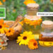 Nourish Your Lips This Winter with Calendula Oil