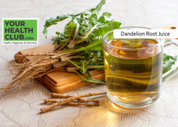 Dandelion Root Juice: A Powerful Home Remedy for Liver Health and Digestion